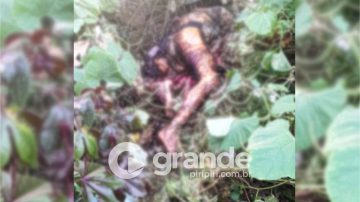 02 NOVO PADRÃO GRANDE PIRIPIRI SDSDS