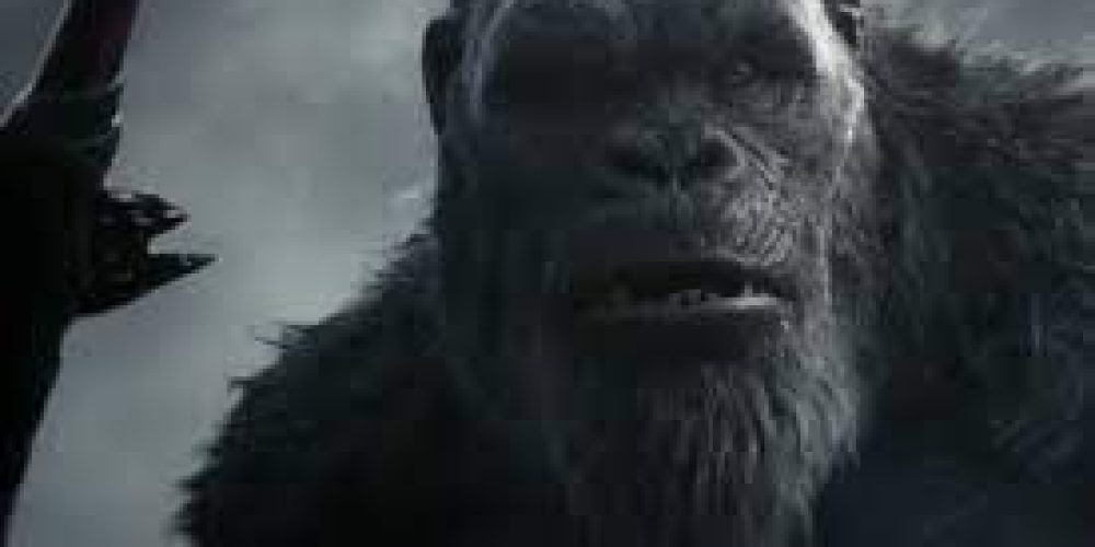 kong